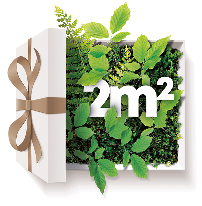 Diederichs Moorsponsoring Geschenk Diederichs Moorsponsoring Geschenk